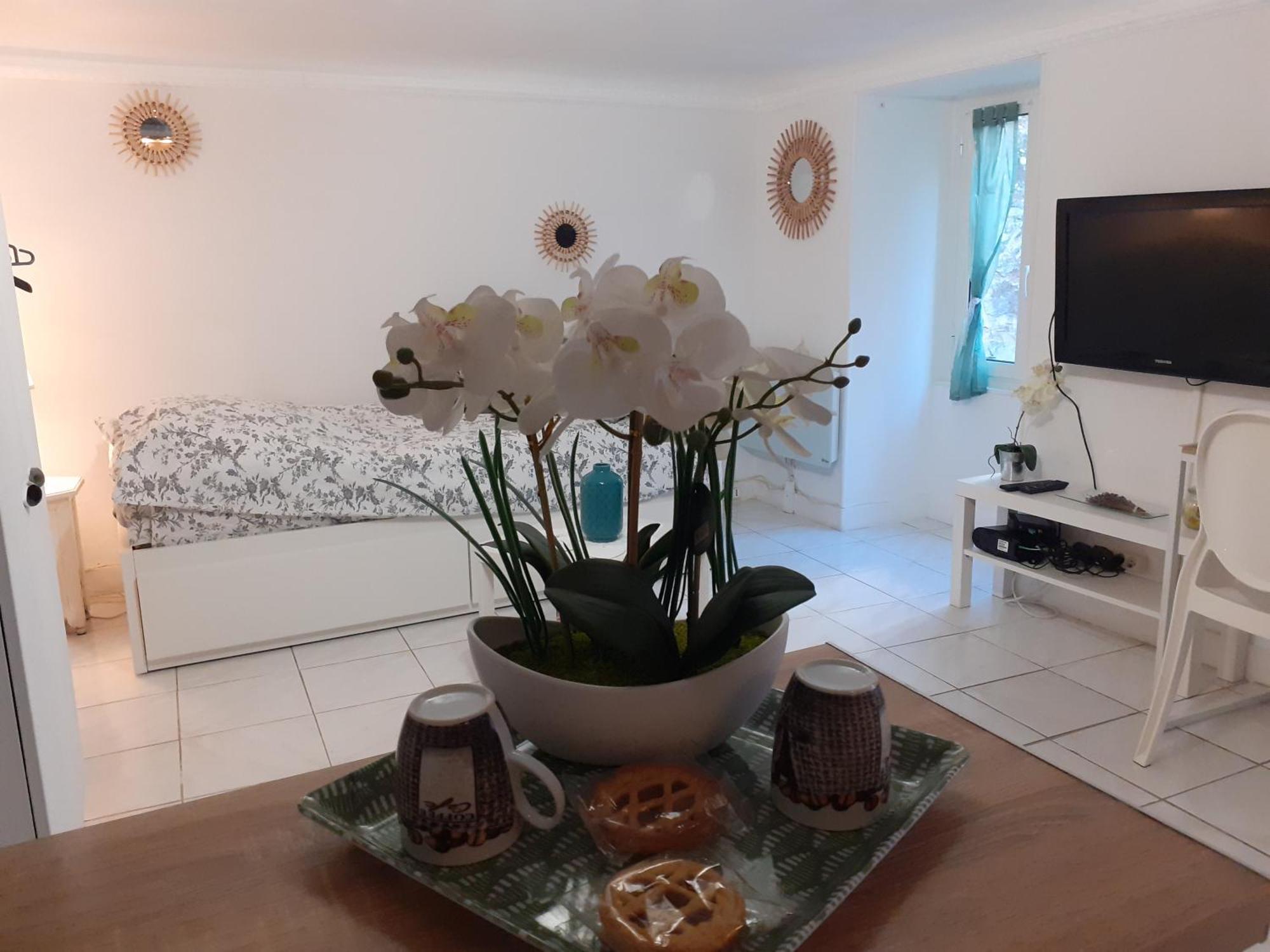Studio Neuf Centre Ville Quartier Liberation نيس المظهر الخارجي الصورة